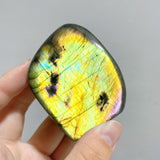35 Pieces Polished Labradorite Free Form -Wholesale Crystals
