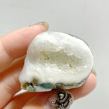 36 Pieces Moss Agate Skull Carving Closeout -Wholesale Crystals