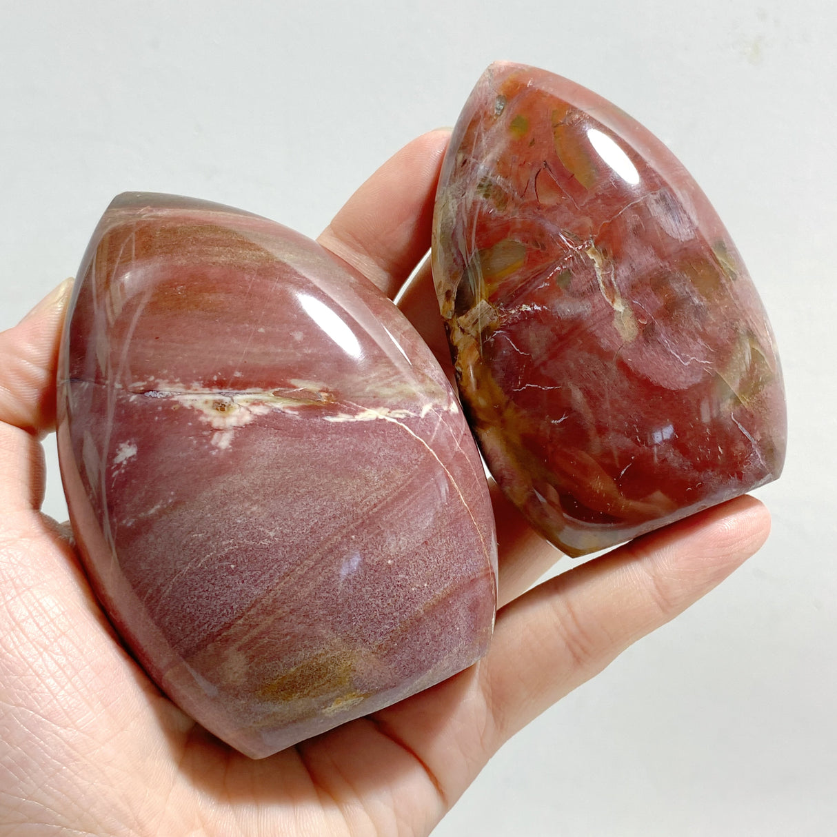 20 Pieces Petrified Wood Stone Arrow Head Shape