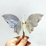6 Pairs Sunstone Mixed Moonstone Butterfly Wing Carving With Stand
