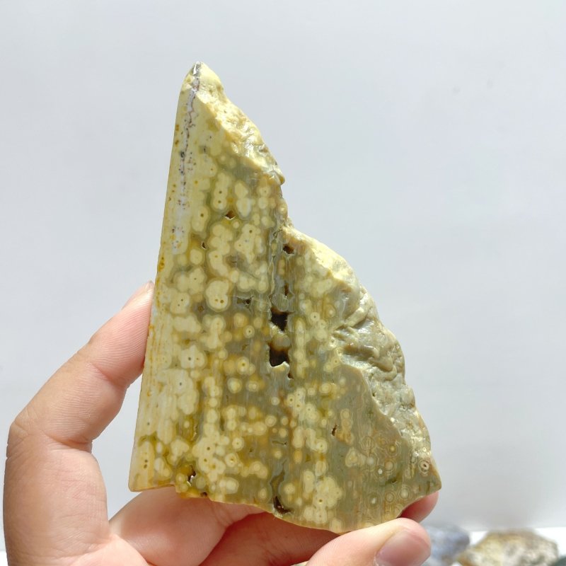 39 Pieces Beautiful 8th Vein Ocean Jasper Slab - Wholesale Crystals