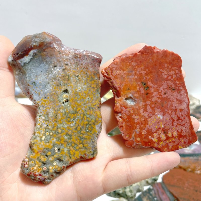 39 Pieces Beautiful 8th Vein Ocean Jasper Slab - Wholesale Crystals