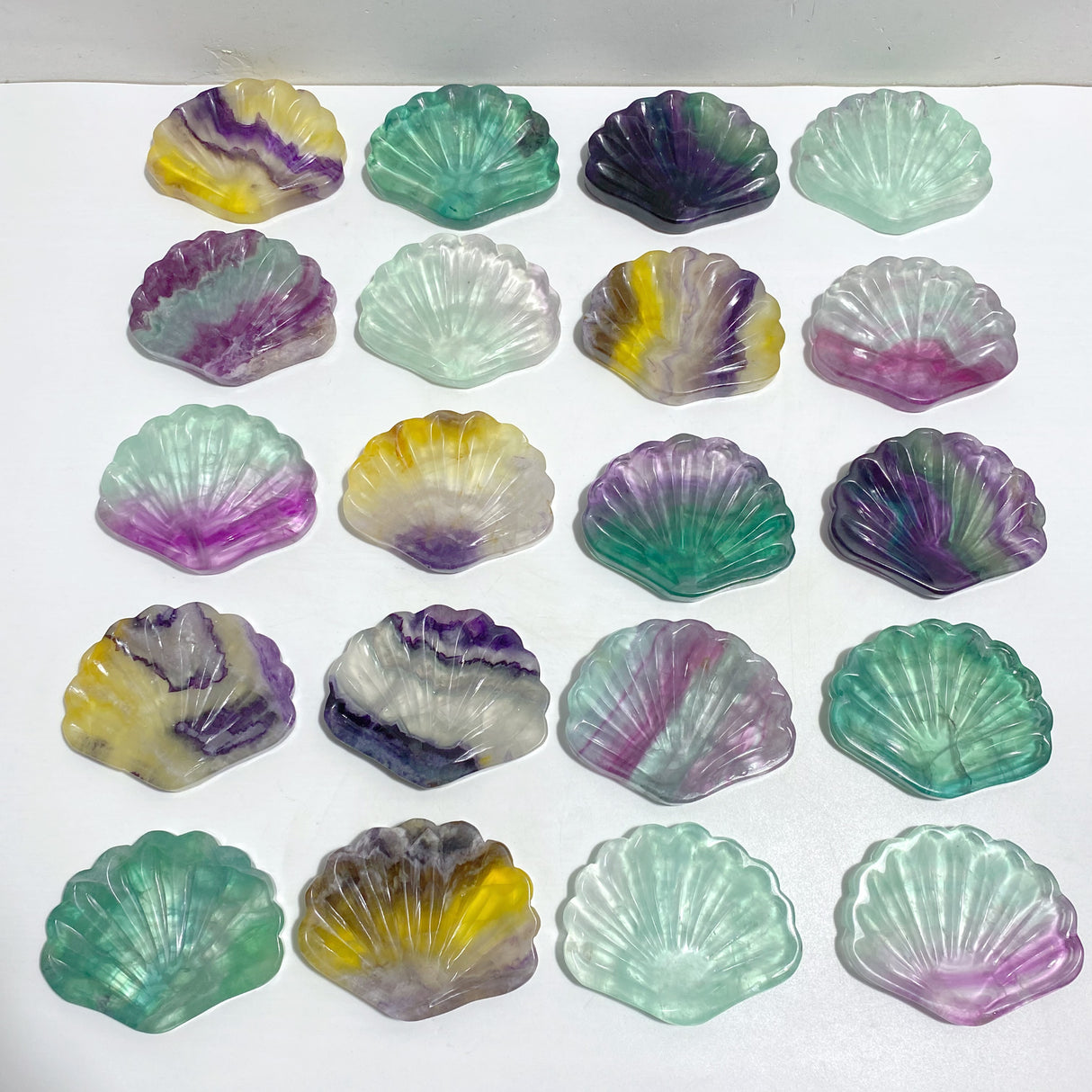 Rainbow Fluorite Shell Wholesale (No.21-40)
