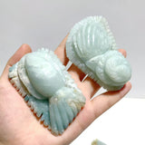 20 Pieces Caribbean Calcite Sea Animals Carving