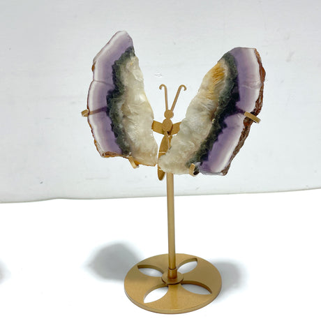 3 Pairs Fluorite Mixed Pyrite Butterfly Wing With Stand #6