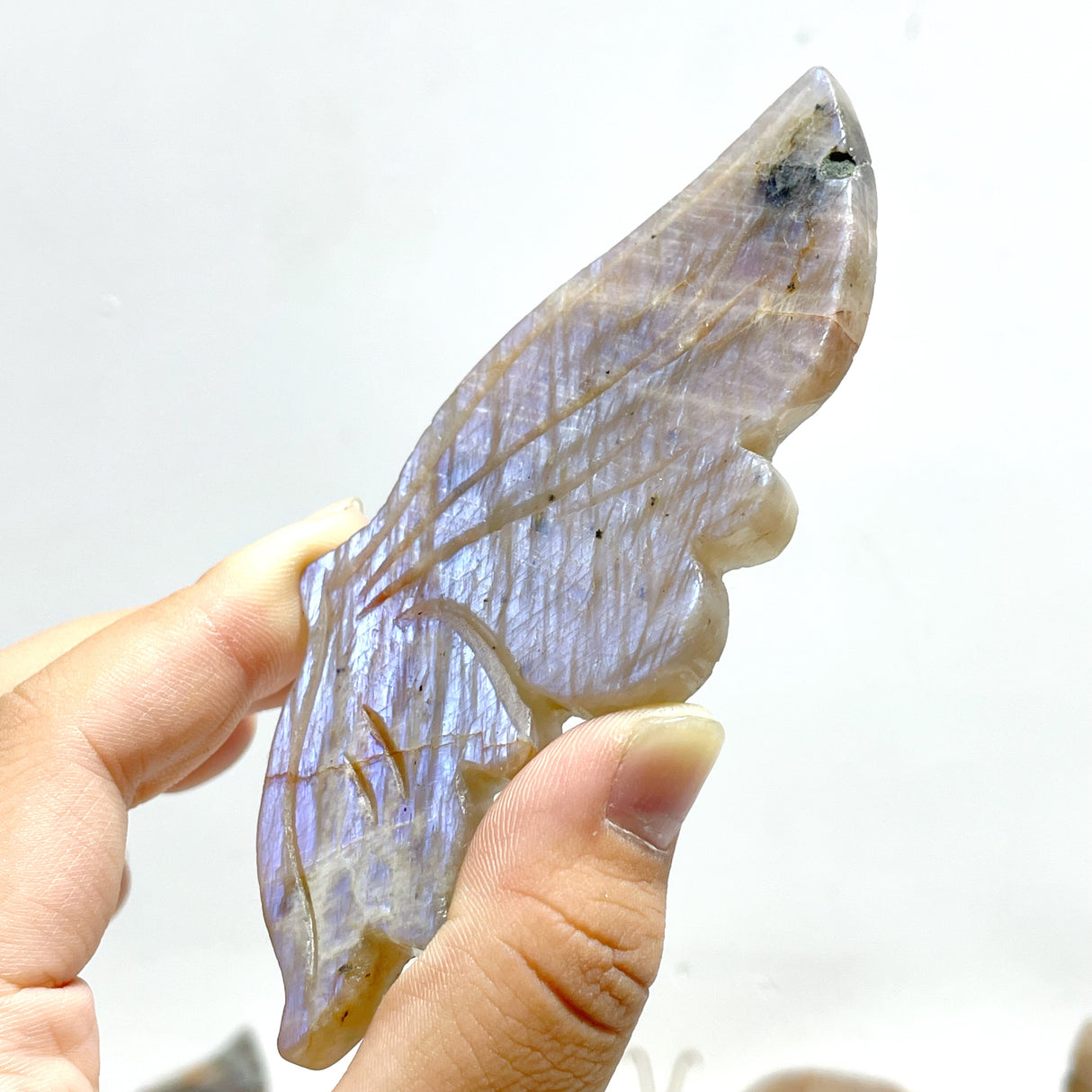 6 Pairs Sunstone Mixed Moonstone Butterfly Wing Carving With Stand