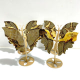4 Pairs Septarian Butterfly Wing Carving With Stand 1 - Wholesale Crystals