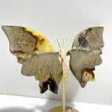 4 Pairs Septarian Butterfly Wing Carving With Stand 2 - Wholesale Crystals