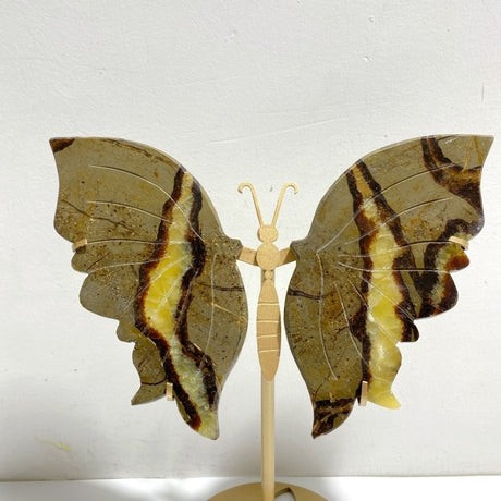 4 Pairs Septarian Butterfly Wing Carving With Stand 2 - Wholesale Crystals