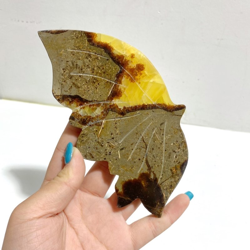 4 Pairs Septarian Butterfly Wing Carving With Stand 2 - Wholesale Crystals