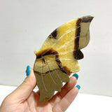 4 Pairs Septarian Butterfly Wing Carving With Stand 2 - Wholesale Crystals