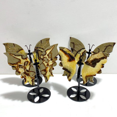 4 Pairs Septarian Butterfly Wing Carving With Stand 5 - Wholesale Crystals