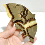 4 Pairs Septarian Butterfly Wing Carving With Stand 5 -Wholesale Crystals