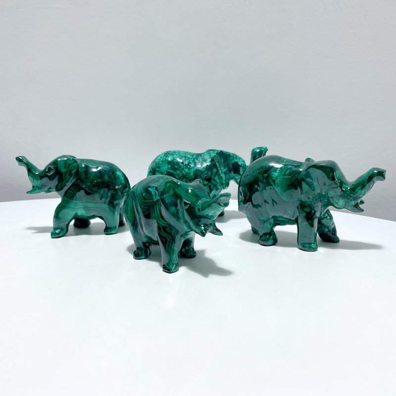 4 Pieces High Quality Malachite Elephant Carving - Wholesale Crystals