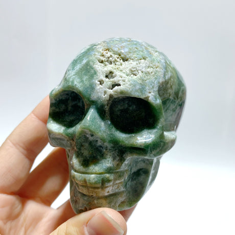 6 Pieces Moss Agate Skull Carving