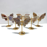 6 Pairs Sunstone Mixed Moonstone Butterfly Wing Carving With Stand