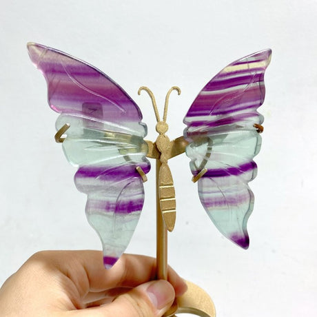 5 Pairs Rainbow Fluorite Symmetry Small Butterfly Wing With Stand - Wholesale Crystals
