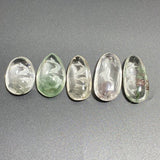 5 Pieces Beautiful Dolphin Garden Quartz Inner Scene Carving -Wholesale Crystals