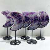 5 Pieces Chevron Amethyst Moon With Stand -Wholesale Crystals