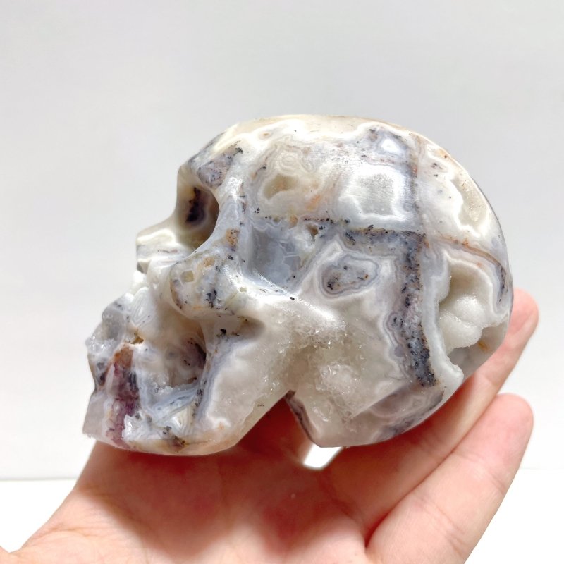 5 Pieces Druzy Geode Purple Fluorite Skull Carving - Wholesale Crystals