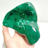 5 Pieces High Quality Polished Malachite Free Form - Wholesale Crystals