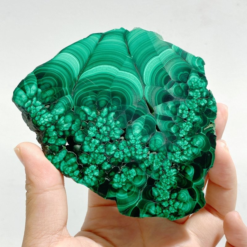5 Pieces Large Beautiful Malachite Slab - Wholesale Crystals