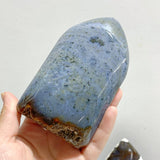 5 Pieces Ocean Jasper Arrow Head Shape Home Decor - Wholesale Crystals