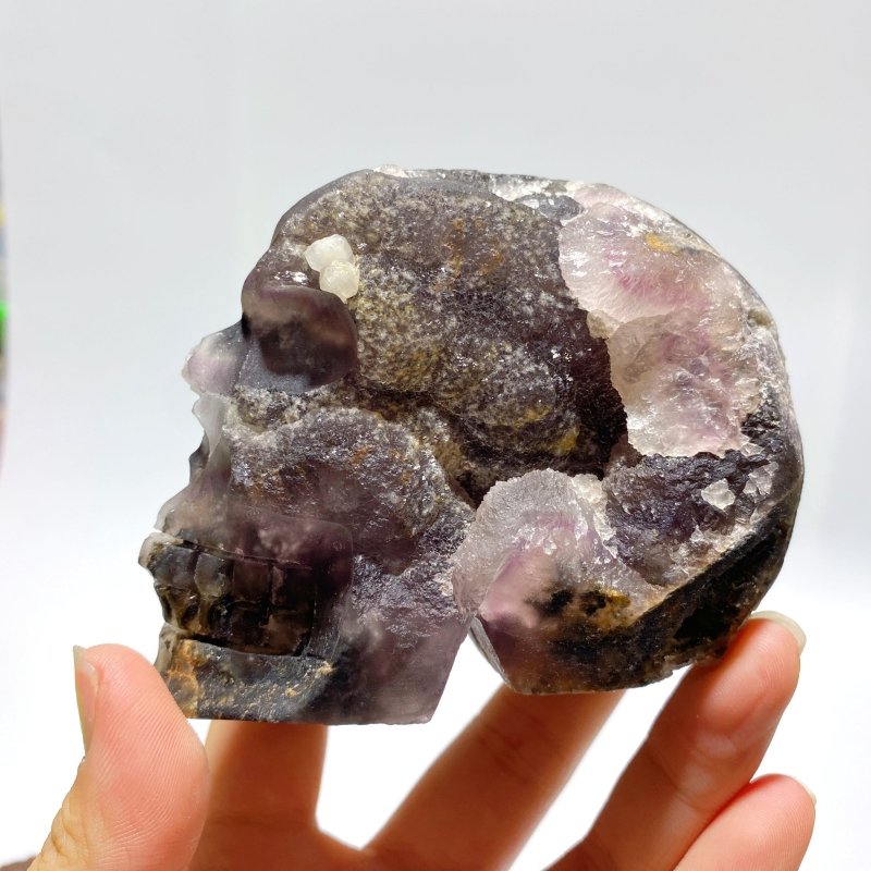 5 Pieces Purple Fluorite Skull Carving - Wholesale Crystals
