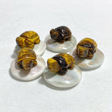 5 Types Mini Turtle On The Shell Fossil Wholesale Moss Agate Tiger Eye - Wholesale Crystals