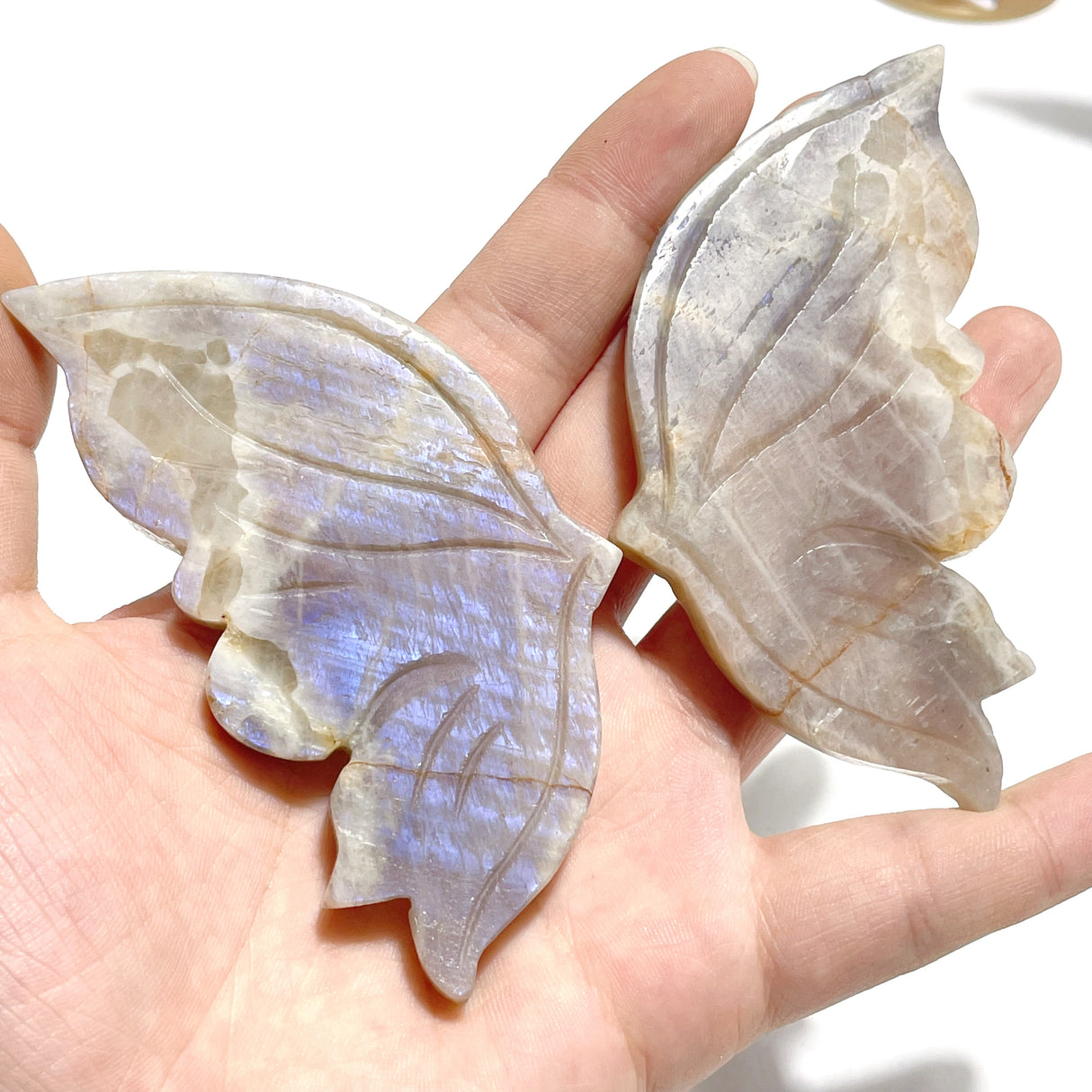 6 Pairs Sunstone Mixed Moonstone Butterfly Wing Carving With Stand