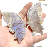 6 Pairs Sunstone Mixed Moonstone Butterfly Wing Carving With Stand