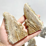 11 Pieces Clear Quartz Cluster Butterfly Fairy Carving