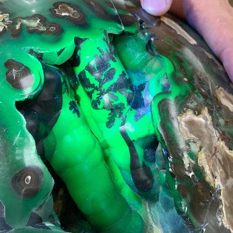 56.5KG Volcano Agate UV Reactive with Unique Tree-like Pattern Sphere (Sea Freight Only) -Wholesale Crystals