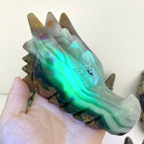 10 Pieces Volcanic Agate Dragon Head Carving Closeout(UV-Reactive)