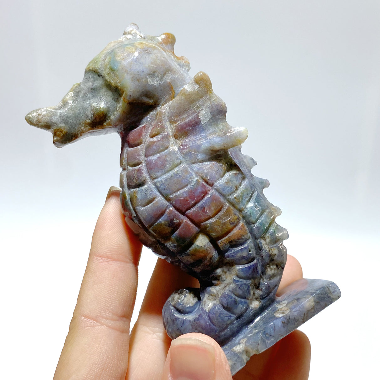 10 Pieces Moss Agate Seahorse Carving