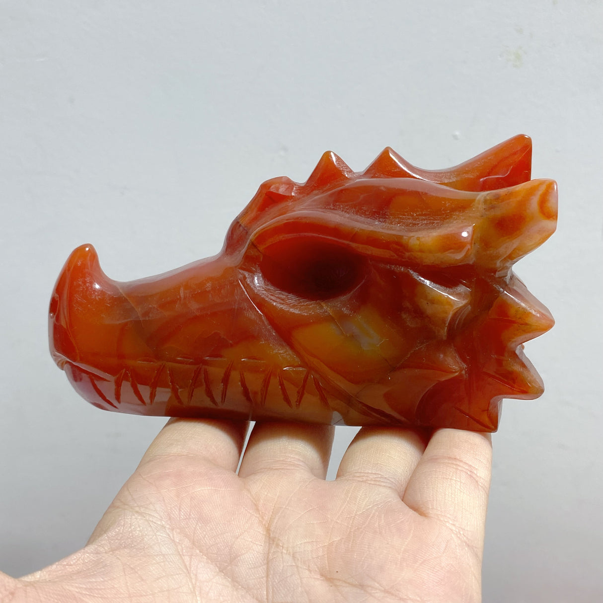 9 Pieces Carnelian Dragon Head Carving