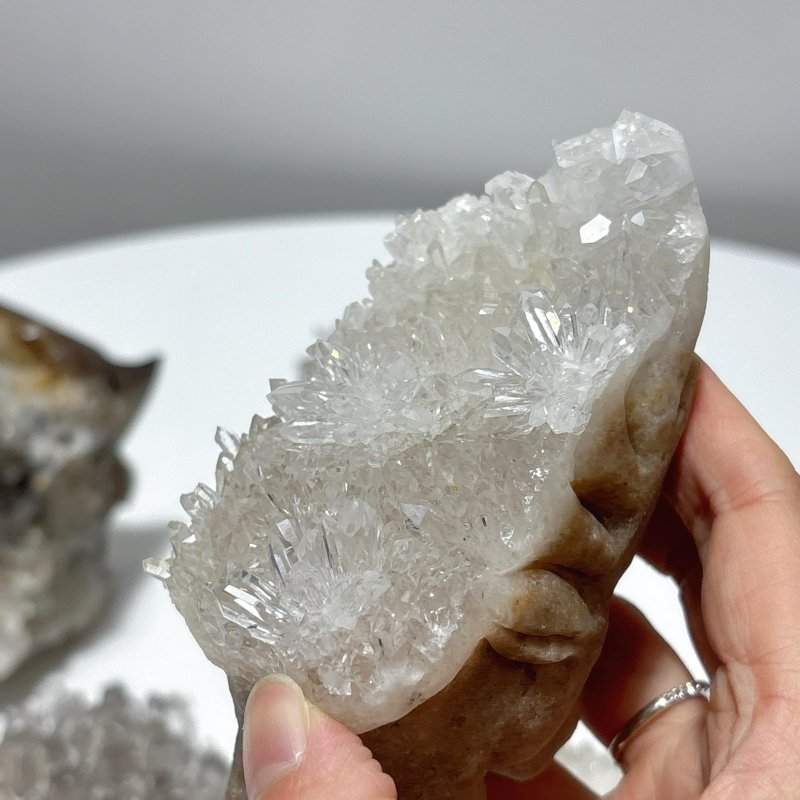 6 Pieces Cute Clear Quartz Cluster Animal Carving - Wholesale Crystals