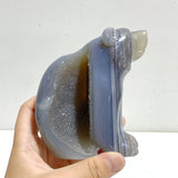6 Pieces Geode Druzy Agate Bear Carving - Wholesale Crystals
