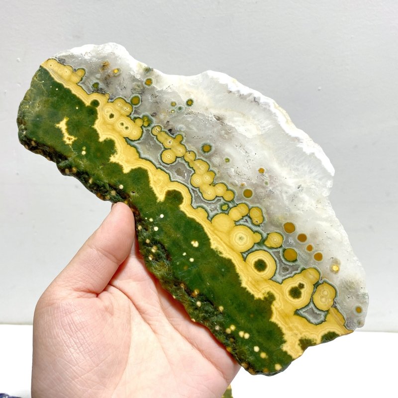 6 Pieces Large 8th Vein Ocean Jasper Slabs - Wholesale Crystals