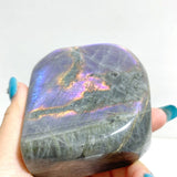 6 Pieces Large Beautiful Polished Labradorite Free Form - Wholesale Crystals