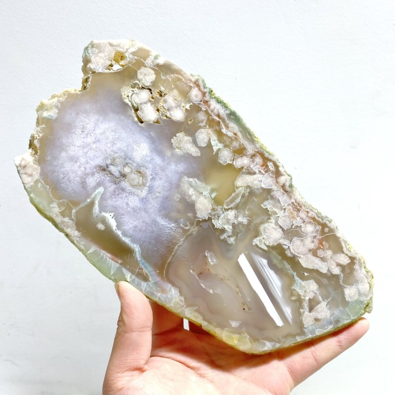 6 Pieces Large Green Sakura Flower Agate Slabs - Wholesale Crystals