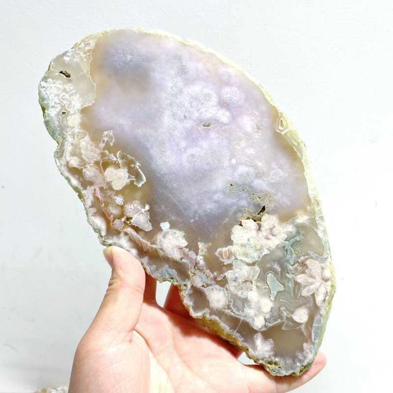 6 Pieces Large Green Sakura Flower Agate Slabs - Wholesale Crystals