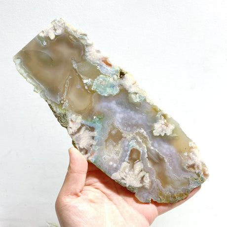 6 Pieces Large Green Sakura Flower Agate Slabs - Wholesale Crystals