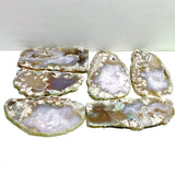 6 Pieces Large Green Sakura Flower Agate Slabs - Wholesale Crystals