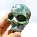 6 Pieces Moss Agate Skull Carving - Wholesale Crystals