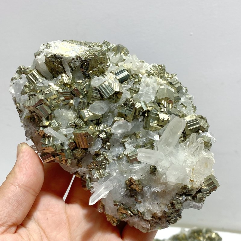 6 Pieces Pyrite Mixed Clear Quartz Cluster Specimen For Collection - Wholesale Crystals