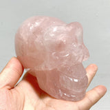 6 Pieces Rose Quartz Skull Carving - Wholesale Crystals