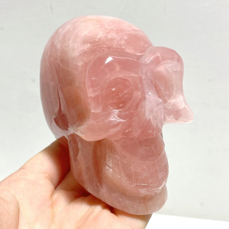 6 Pieces Rose Quartz Skull Carving - Wholesale Crystals