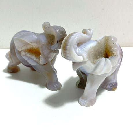 6 Pieces Small Geode Agate Druzy Elephant Carving - Wholesale Crystals
