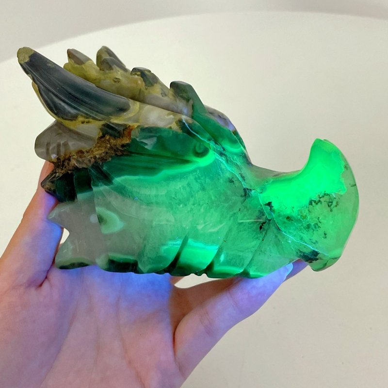 6 Pieces Volcanic Agate Dragon Head Carving(UV - Reactive) - Wholesale Crystals